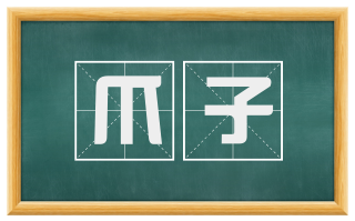 爪子