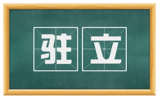 驻立