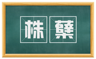 株蘖