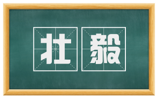 壮毅