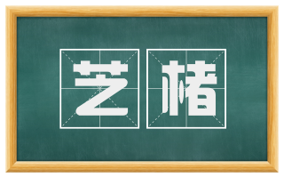 芝楮