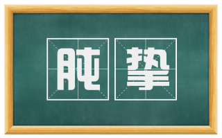 肫挚
