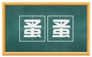 蚤蚤