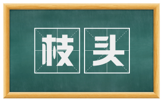 枝头