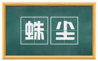 蛛尘