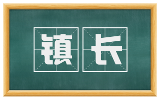 镇长