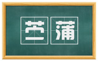 苎蒲