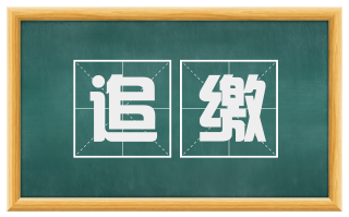 追缴