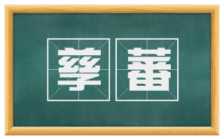孳蕃