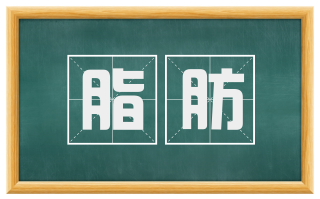 脂肪