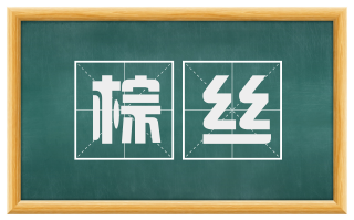 棕丝