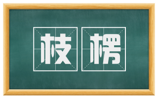枝楞