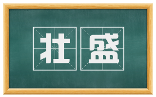 壮盛