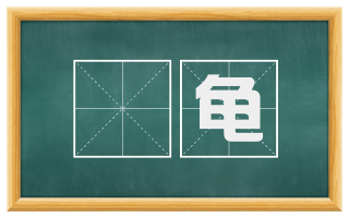 搘龟