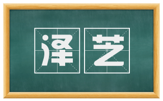 泽芝