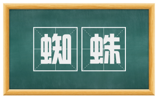 蜘蛛