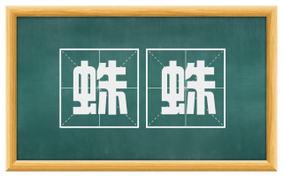 蛛蛛