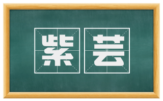 紫芸