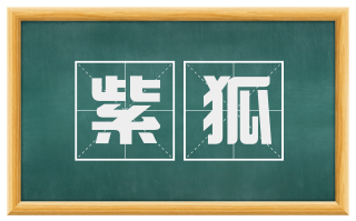 紫狐