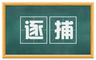 逐捕