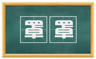 罩罩
