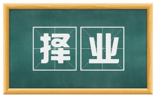 择业