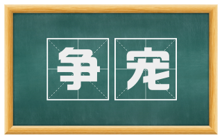 争宠