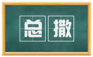 总撒