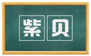 紫贝