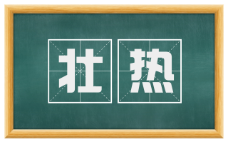 壮热