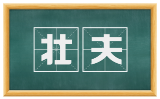 壮夫
