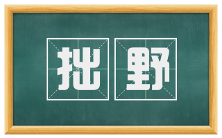 拙野